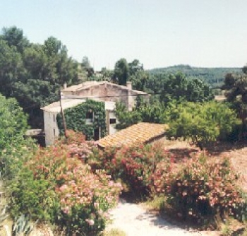 MOLÍ CORTADAS